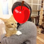 고양이 <b>다락방</b> 카페의 업둥이 ~~~~사진 有