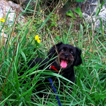 사진有))) 10년지기 베프 땡이