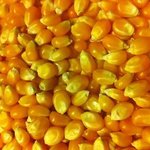 한 번 하는데 270억