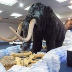 [경주여행 <b>코스</b>]경주맘모스 전시관 경주여행