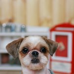 머슴같은 [공주 ]입니다.평생 버리지 않을 가족을 찾습니다.