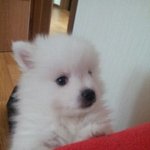 아기곰과 <b>쎄쎄</b>쎄