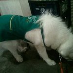 <b>주방</b>에서 일하는 개