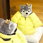 <b>빈폴</b> 모델 브라우니 패션왕