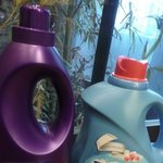 다우니 에이프릴 프레쉬와 4월 이야기