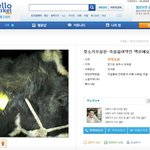 중고사이트 헬로마켓 이런 것도 팔더라..;;ㅎㅎㅎ