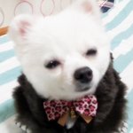 [8탄]깡총구름이의 겨울나기