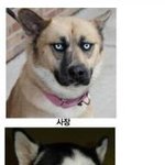 회사<b>계급</b>을 개표정으로 표현...