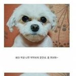 <b>증명</b>사진 찍을때 모습