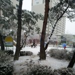 <b>집앞</b>에 나갔다가 눈온풍경이좋아 우연히 찍은 사진