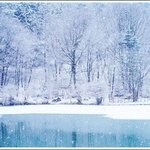 <b>눈</b>덮인 새로운 세상 신천지 ~~ 부산에 <b>눈</b>이 오고 있네요