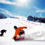 스키장 자외선 최고치 : 선크림은 선택이 아닌 필수