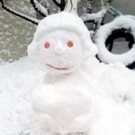[냥판] 세상에 딱 한마리있는 특종 냥이