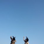 내<b>고향</b> 부산여행 당일치기
