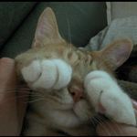 근데,,, <b>까페</b>에서,, 공부가 되나,,,