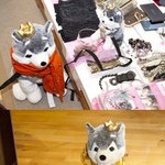 간지돋는 모델 브라우니 진정한 패션왕~ ㅋㅋㅋ 