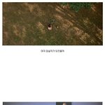 보고나서 <b>찝찝</b>한 영화