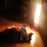 사진에 이상한게 찍혀써요..(외계인 같은)