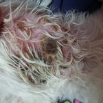 도와주세요..한번이라도글을읽고도와주세요..