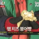 제1회 <b>세얼간</b>이 붕어빵 어워즈 ㅋㅋ
