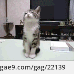 야근돌!!! ㅠㅠ