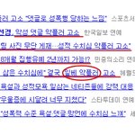 윤선경 고소에 대응하는 <b>일베</b>인의 자세.