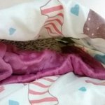 ღ눈꽃송이가 왔송이(2)ღ