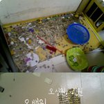 10년만에 집<b>공사</b> 중 발견된...jpg
