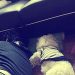 개인지... 사람인지...