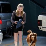 박제<b>동물</b> 모으는 게 취미였던 아만다 사이프리드ㄷㄷ