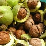 우리가 몰랐을수도있는 사실  68가지