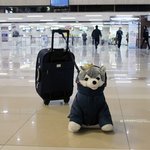 패셔니스타 <b>빈폴</b> 모델 브라우니 공항 패션 !!!