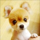판녀분들. 이번 대선은 文 뽑는거 다들 아시죠?? ^^*