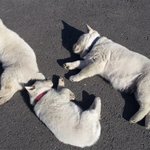 중력을 <b>지배</b>하는 자 ! (개웃김)