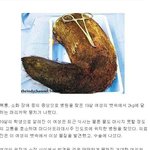 (<b>혐오</b>) 머리카락먹은소녀