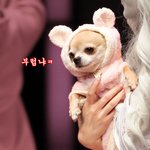 어제 백현이랑 데<b>이투</b>를 했는데...ㅋㅋ