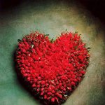 못 생긴 사람들만 보세요