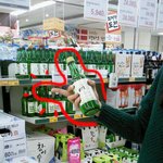 부산에는 대신 <b>욕해</b>주는 술이 있다?