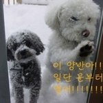 추위와 싸우는 귀여운 <b>동물</b>들