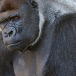 공부하는 일상속에 톡톡튀는 재미