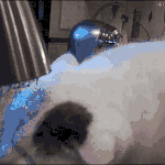 사장님 <b>pt</b>도 무사히 마쳤고... 휴...