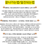 ✖[<b>훈녀생정</b>] 일찐되는법 / 쎄보이는법✖