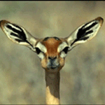 여자의 밀당ㅡㅡ