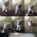 <b>설탕</b>설탕 각설탕~