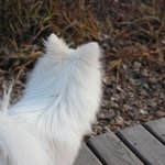 [한글이] 한글이  30탄