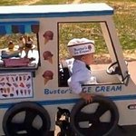 인류에 희망을 갖게 해주는 2012년 사진 19장