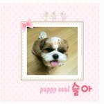 <b>임보처</b>도 새로 구해야해요 ㅠ.ㅠ