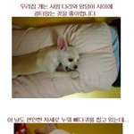 아무 생각 없이 보면 터짐.<b>jyp</b>