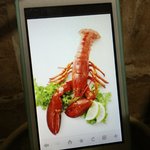 랍스타가 먹고싶었던 나....