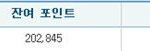 2013년이 오기 전에! 알뜰하게 소멸예정 포인트 사용하기
